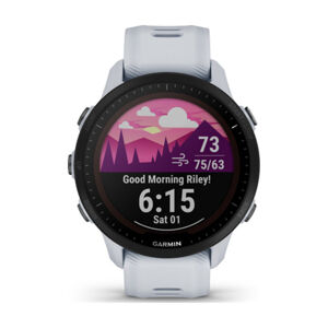 GARMIN smart hodinky - FORERUNNER 955 SOLAR - šedá